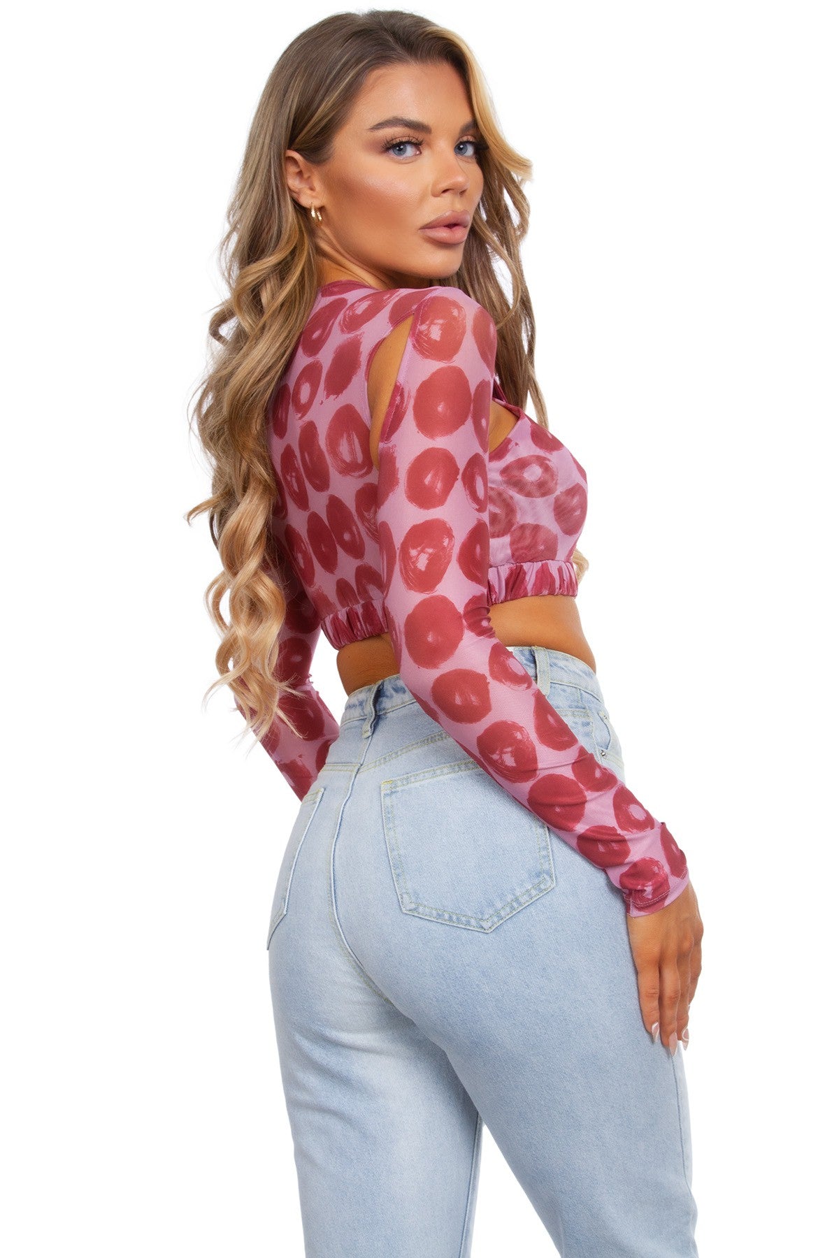 Printed Long Sleeve Mesh Crop Top