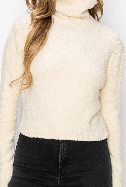 Warm Turtle Neck Sweater