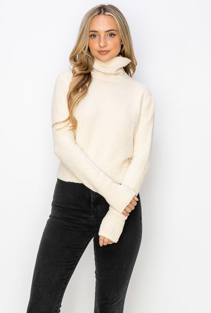 Warm Turtle Neck Sweater